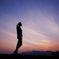 Como Se Lucha Desde La Paz