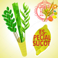 Especial Sucot: ¡Jag Sucot Sameaj!