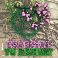 Especial Tu BShvat: Una mirada MUY profunda