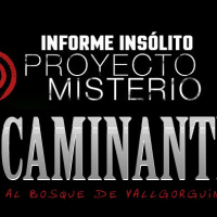 Proyecto Misterio 25: Informe insólito