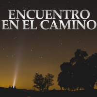 Proyecto Misterio 31: Encuentro en el camino