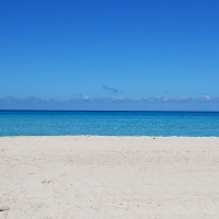 The Magic of the Southwest Companion Pass