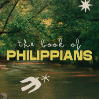 Shaped By The Gospel