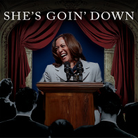 Sugar, She Knows What Shes Doin - Fallout Boy Parody