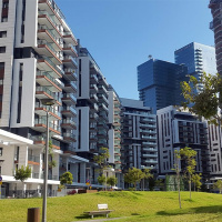 האדריכלים | יער 2