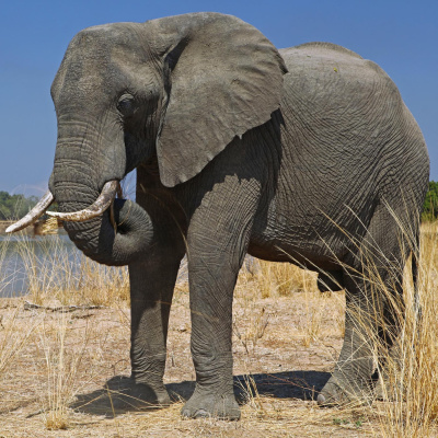 Notizen Aus Aller Welt