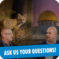 Global boiling is here?