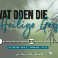 2 Mei 2021 - Wouter Vd Merwe - Wat Doen Die Heilige Gees?