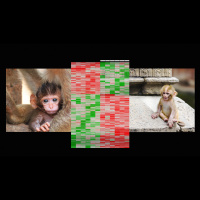 How early life experience is written into DNA | Moshe Szyf