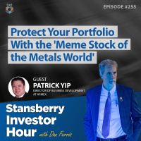 Protect Your Portfolio With the Meme Stock of the Metals World