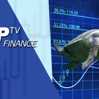 ‘Turtle trading’… the VectorVest way