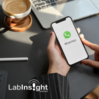 Whatsapp continúa con su plan