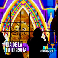 #LabInsight Ep27 ➡️ Tres recomendaciones para comenzar en la #fotografía #DíaMundialDeLaFotografía 