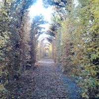 Episode 61 Erkenne ein Problem