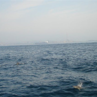 Episode 59 Die Farben 1. Teil