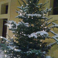 Episode 53 Eine Weihnachtsgeschichte