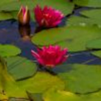 Episode 48 Das Gesetz der Harmonie