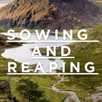 Sowing and Reaping