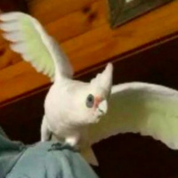 Season 4 - Episode 7: Effin Legend