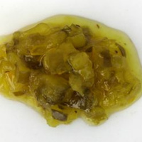 Season 2 - Episode 38: Relish