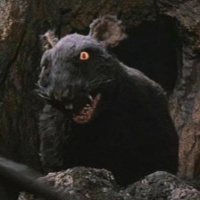 Season 2 - Episode 45: A Sweet Meat Treat