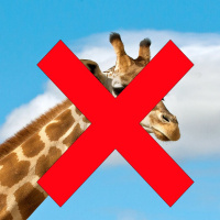 Season 2 - Episode 51: Giraffes: A Waste of a Beast