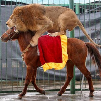 Season 3 - Episode 14: Dental Circumcisions