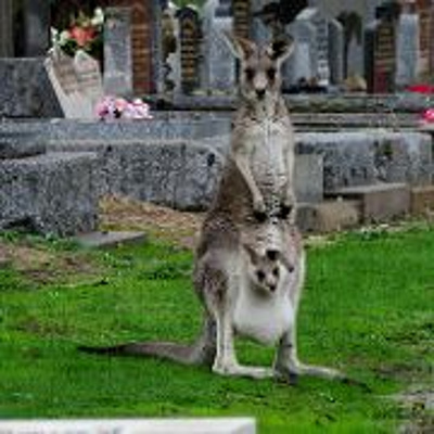 Dudes In A Comic Shop