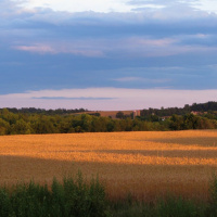 Ottawa County: Michigan Groundwater