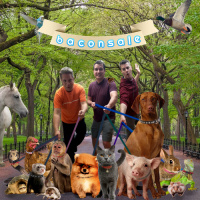 Episode 205: Pet Shop Tiers