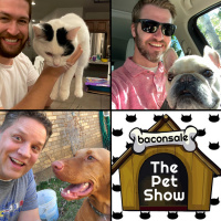 BaconBit: The Pet Show