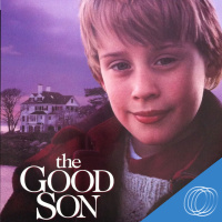 The Good Son