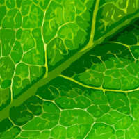 Las plantas bajo el dominio del hombre (VII): De genomas y plantas