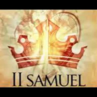2 Samuel 20 - Do we have any portion with David?