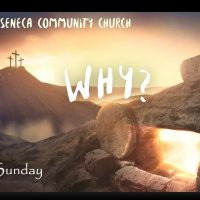 Why?: Palm Sunday March 25, 2018