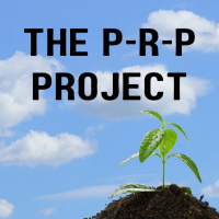 1/01/2023 - The P-R-P Project