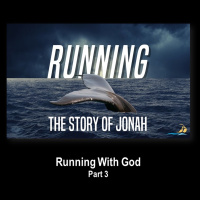 Running 3, February 14, 2021