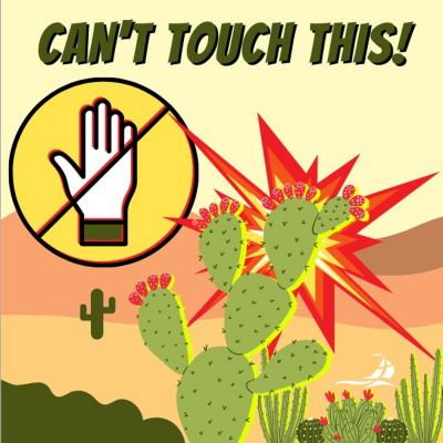 Seneca Community Church Messages