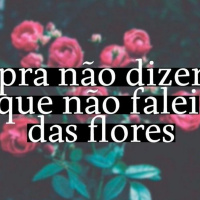 Pra não dizer que não falei das flores