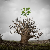 Giving the World a Better Name - Understanding Our Calling