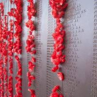 100 Years After The Guns Fell Silent, We Remember