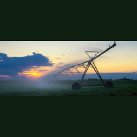 The Irrigation Paradox - Governments Must Act Now or Face a Global Water Tragedy