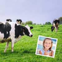 Would You Pay Ten Cents A Litre More For Milk To Help Dairy Farmers?