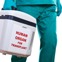 Organ Tourism Exposed In Shocking Report