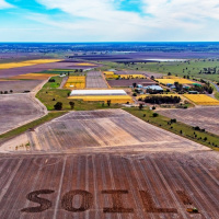 Soil Is So Very Much More Than Dirt