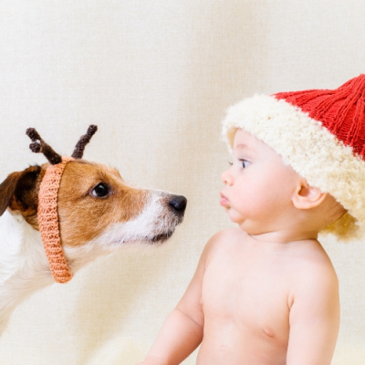 Open House With Stephen Odoherty