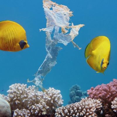 Open House With Stephen Odoherty