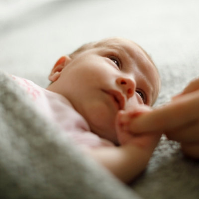 Open House With Stephen Odoherty