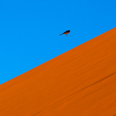 Open House With Stephen Odoherty