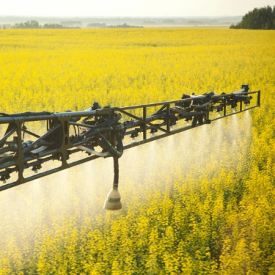 Open House With Stephen Odoherty